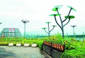 新加坡樟宜机场航站楼建设了多个主题公园，如向日葵园、蝴蝶园。