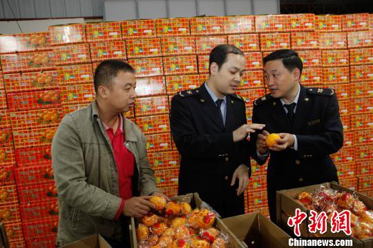 “中国芦柑之乡”新产季出口启动99%销往东盟