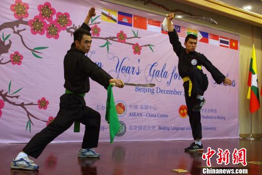 图为越南留学生表演传统武术　贾天勇　摄