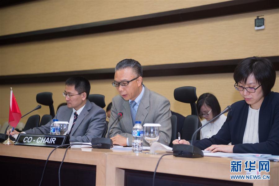 （XHDW）（1）第18次中国—东盟联合合作委员会会议在雅加达举行