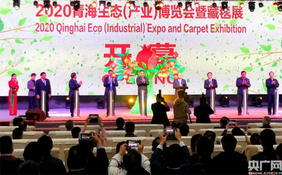 ACC Secretary-General Chen Dehai Attended the Opening Ceremony of 2020 Qinghai Eco (Industrial) Expo
