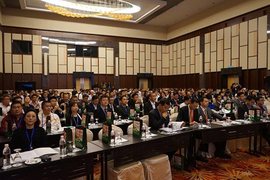 杨秀萍秘书长出席中国－东盟企业家大会开幕式 