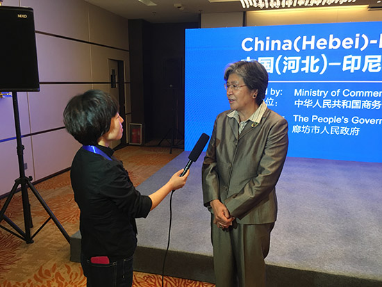 杨秀萍秘书长出席2016中国·廊坊国际经贸洽谈会印尼馆开馆仪式