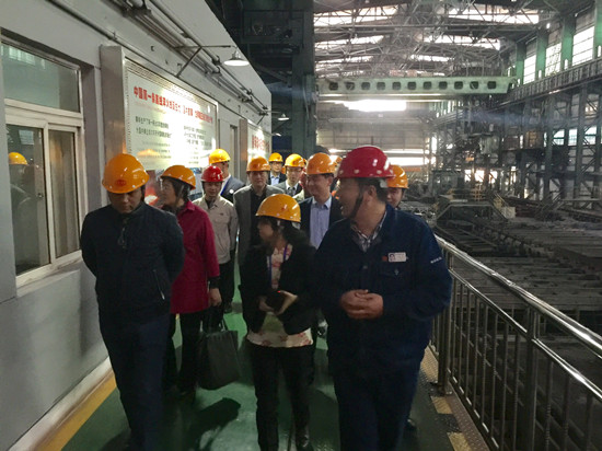 Delegation of ASEAN Committee in Beijing Visited Panzhihua City