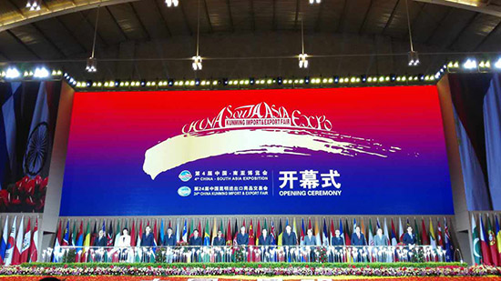 杨秀萍秘书长出席中国—南亚博览会开幕式